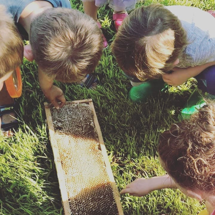 NaturePlay & Connect (Thursday Mornings)