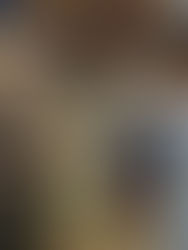 Stage on envoie su bois.. déjà la fin