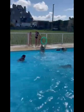 Camp à la conquête de l'ouest