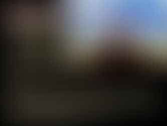 テレビのコメンテーターは必要か?