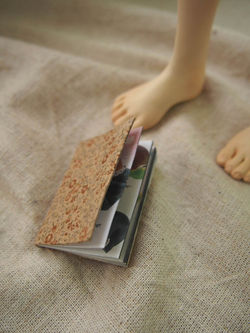 2014-おやすみの時間