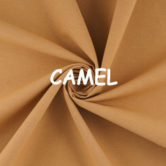 camel_edited.jpg