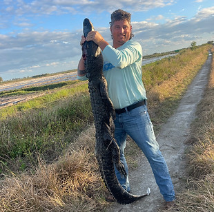 Florida Alligator hunt trip