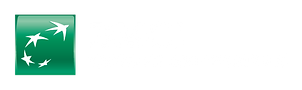 logo bmci.png