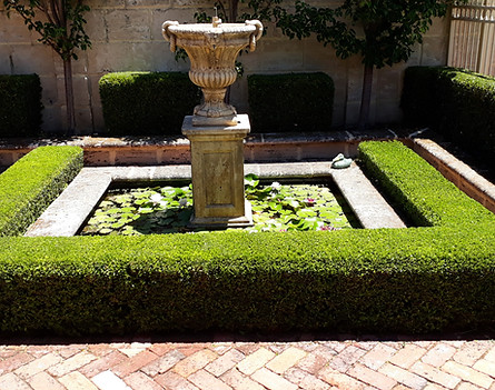 Box Hedge, Booragoon, Perth Western Australia