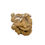 Miniaturbild: Frische junge Tamarinde