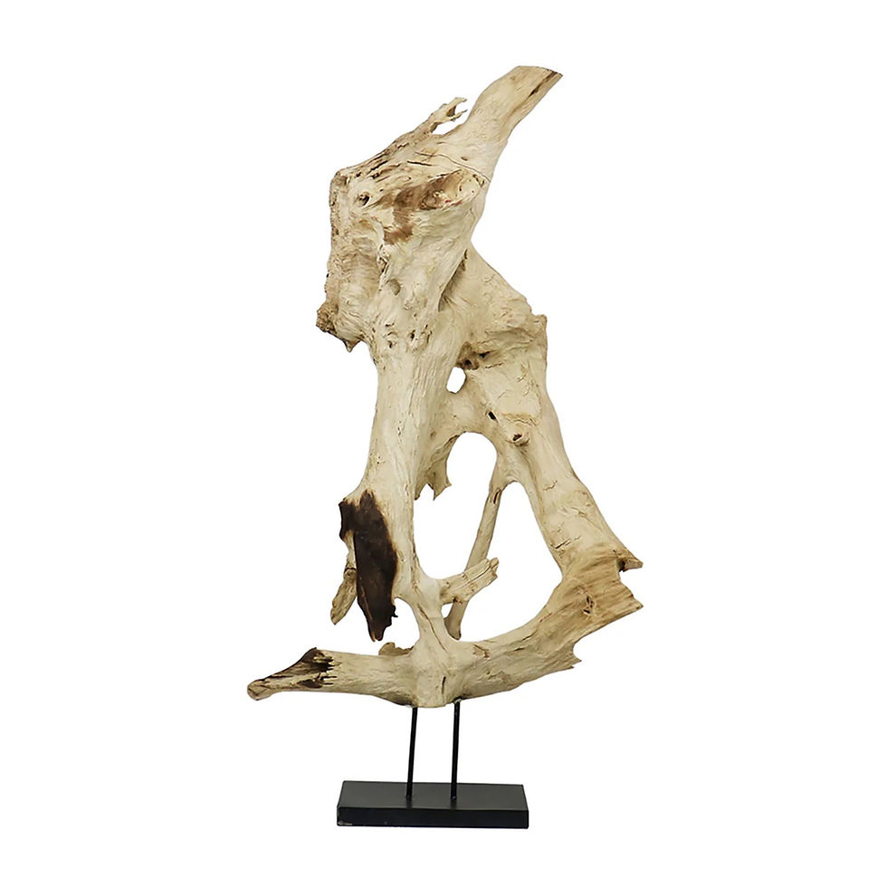 Bleached Erosion Wood Sculpture-Large