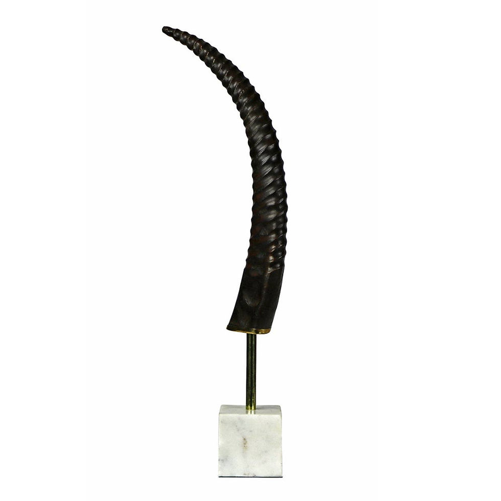 Black curved horn on marble base