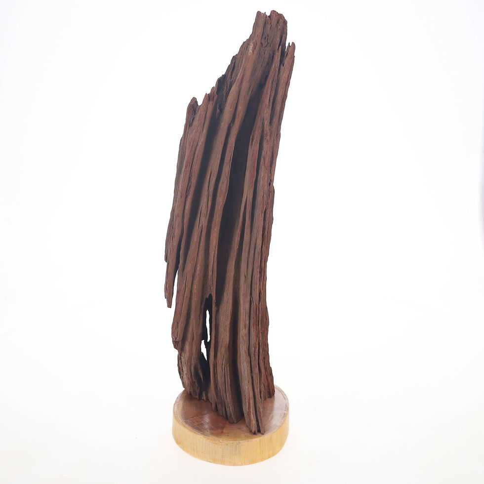 Driftwood Sculpture "IGNIS" - on stand