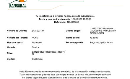 Ejemplo Boleta.jpg