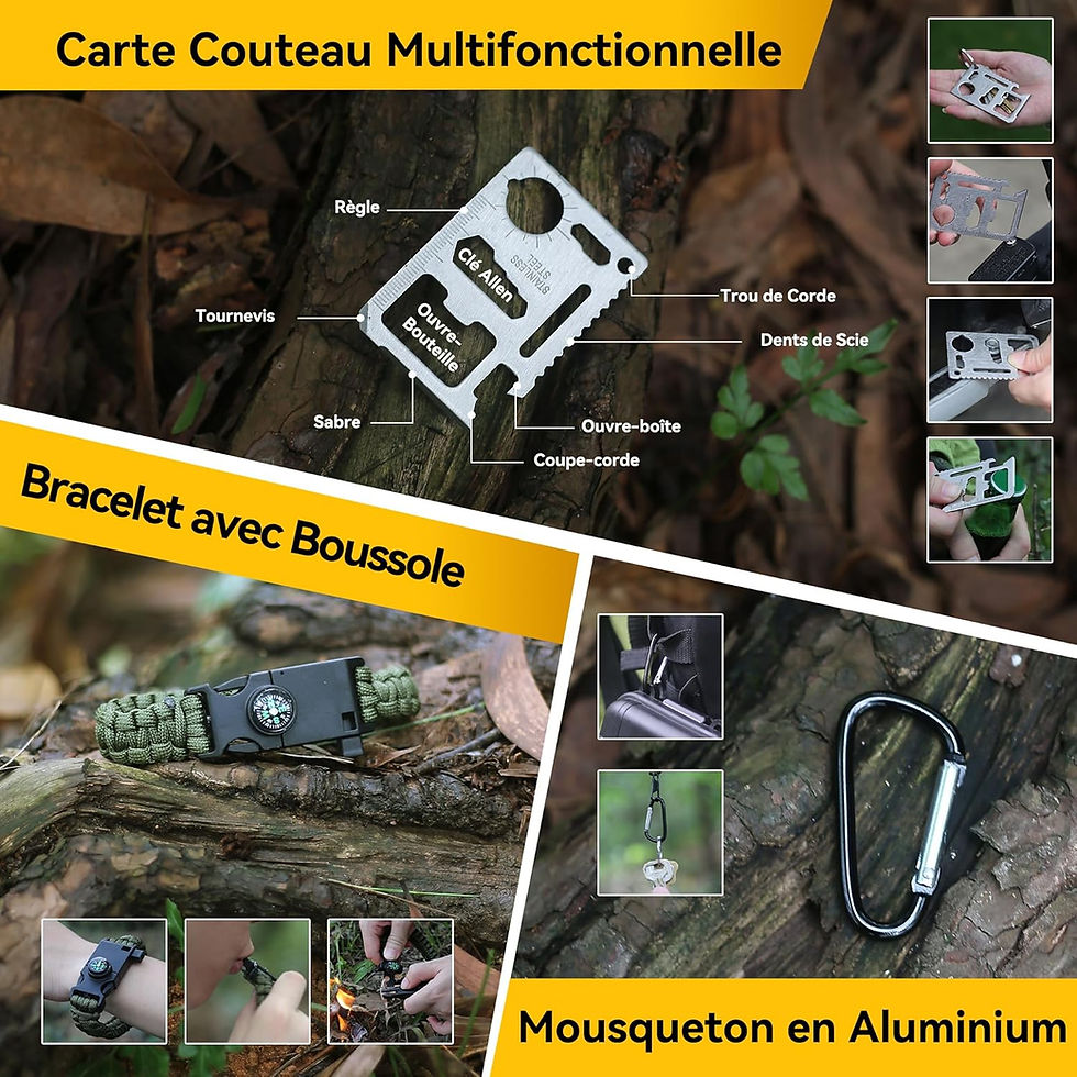 Miniature : Kit de survie