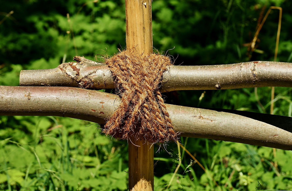 Stage bushcraft de 3 jours dans la Loire