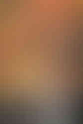 Bald cypress trees in peak autumn color at Caddo Lake, their copper foliage reflecting in calm water beneath an overcast sky. Text: A. Bender | www.abenderphotography.com