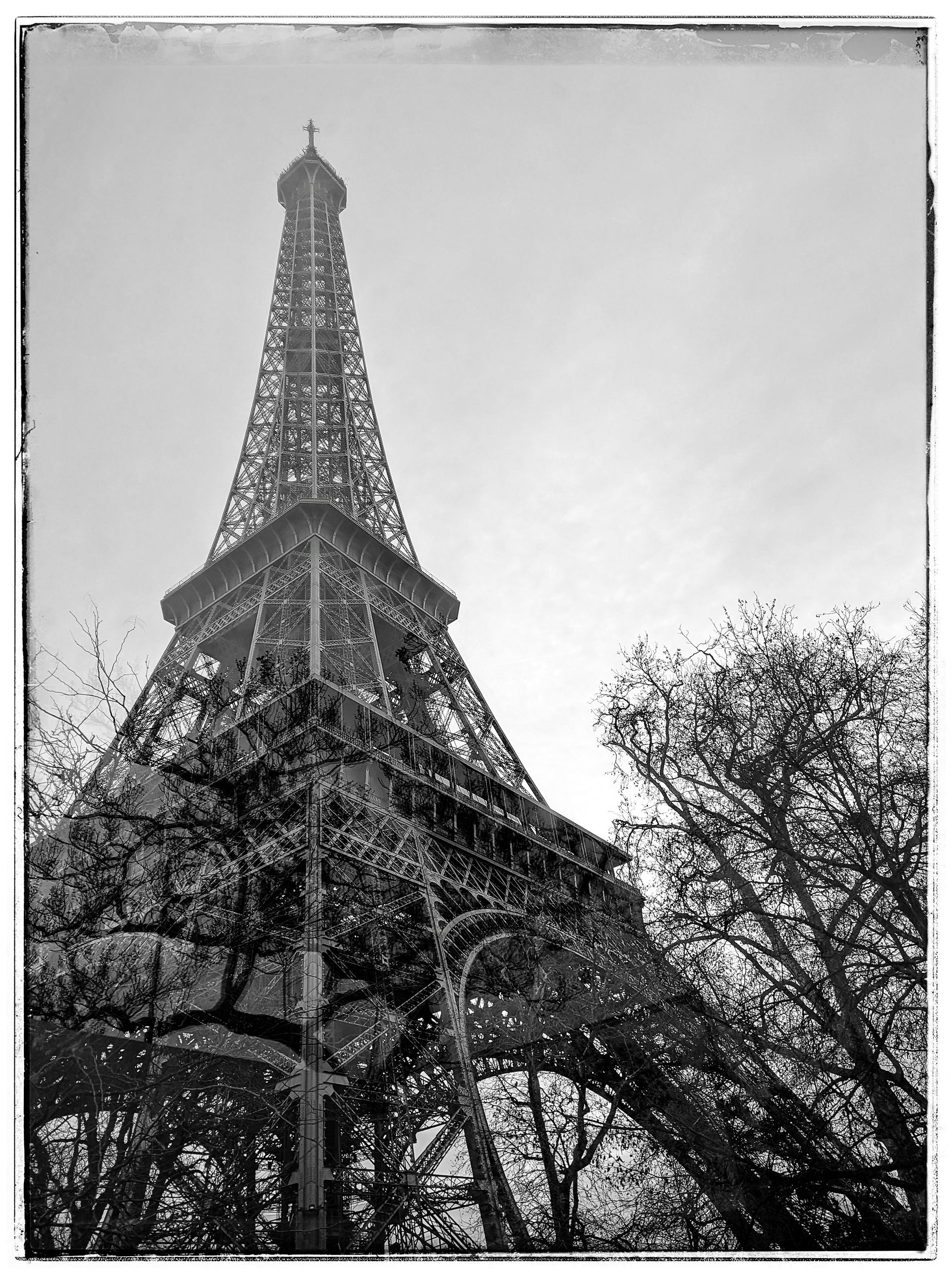 Reflections of Paris