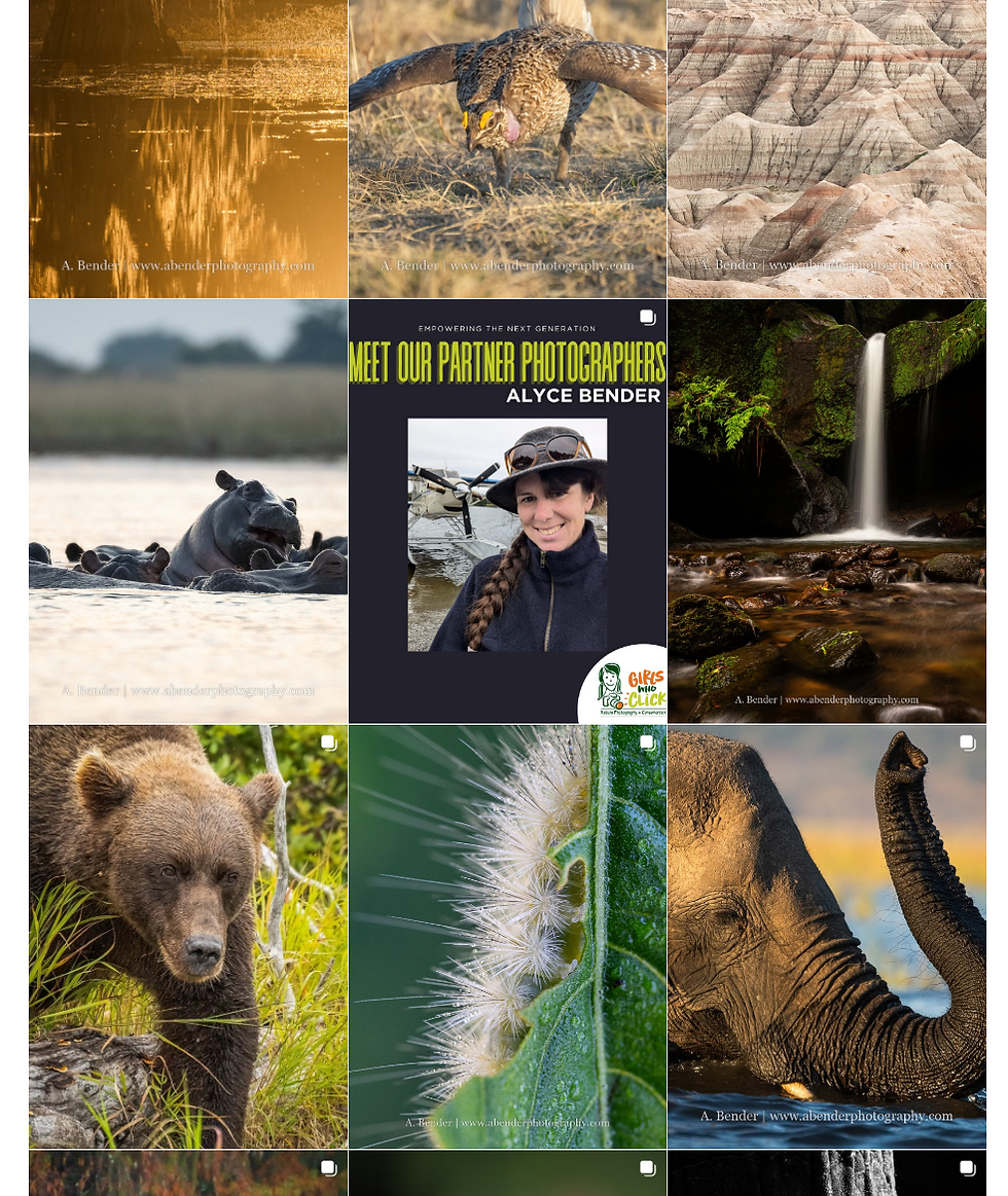 Collage of wildlife and landscapes: hippo, eagle, bear cub, elephant, waterfall, badlands; center portrait reads MEET OUR PARTNER PHOTOGRAPHERS