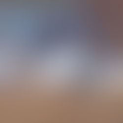 cranes in flight against winter landscape background blurred through intentional camera movement. Text reads A. Bender abenderphotography dot come