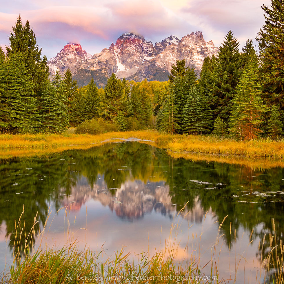 Schwabacher Landing at dawn