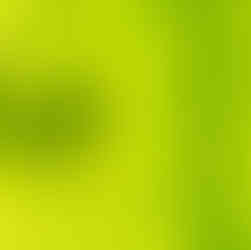 A glass frog sits on a backlit leaf with leaf veins and frog both curving the same direction. Image is mostly a yellow-green. Text reads A Bender abenderphotography.com