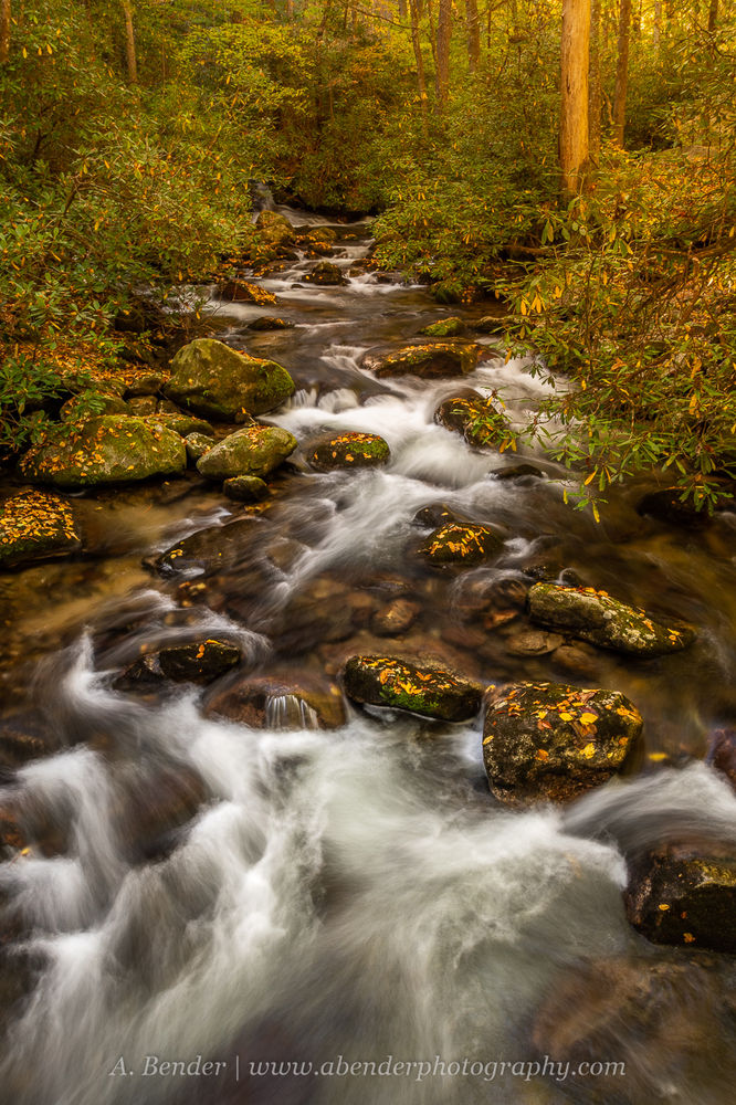 FALL NORTHERN HEMISPHERE visual data 6