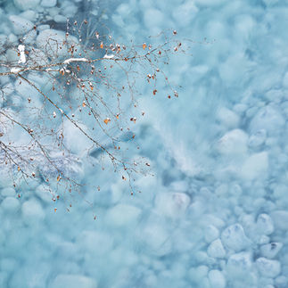 A tree branch with a few dead leaves hangs over a bright blue river with clear water and white stones visible below.