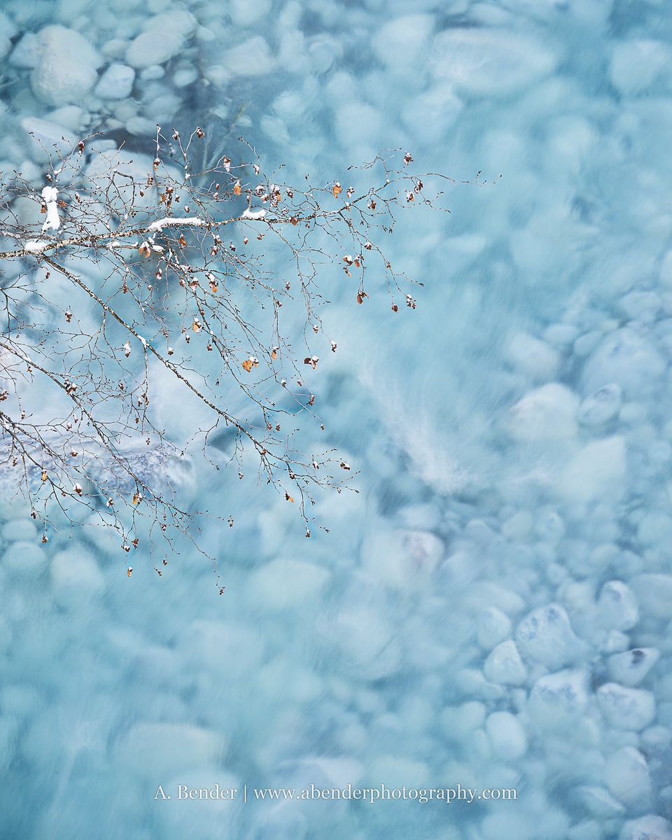 A tree branch with a few dead leaves hangs over a bright blue river with clear water and white stones visible below.