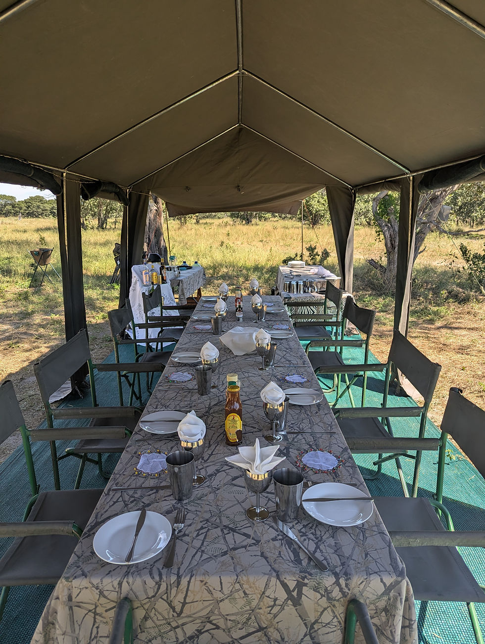 Set dining table under a safari tent, with place settings and bottles, overlooking a grassy savanna.