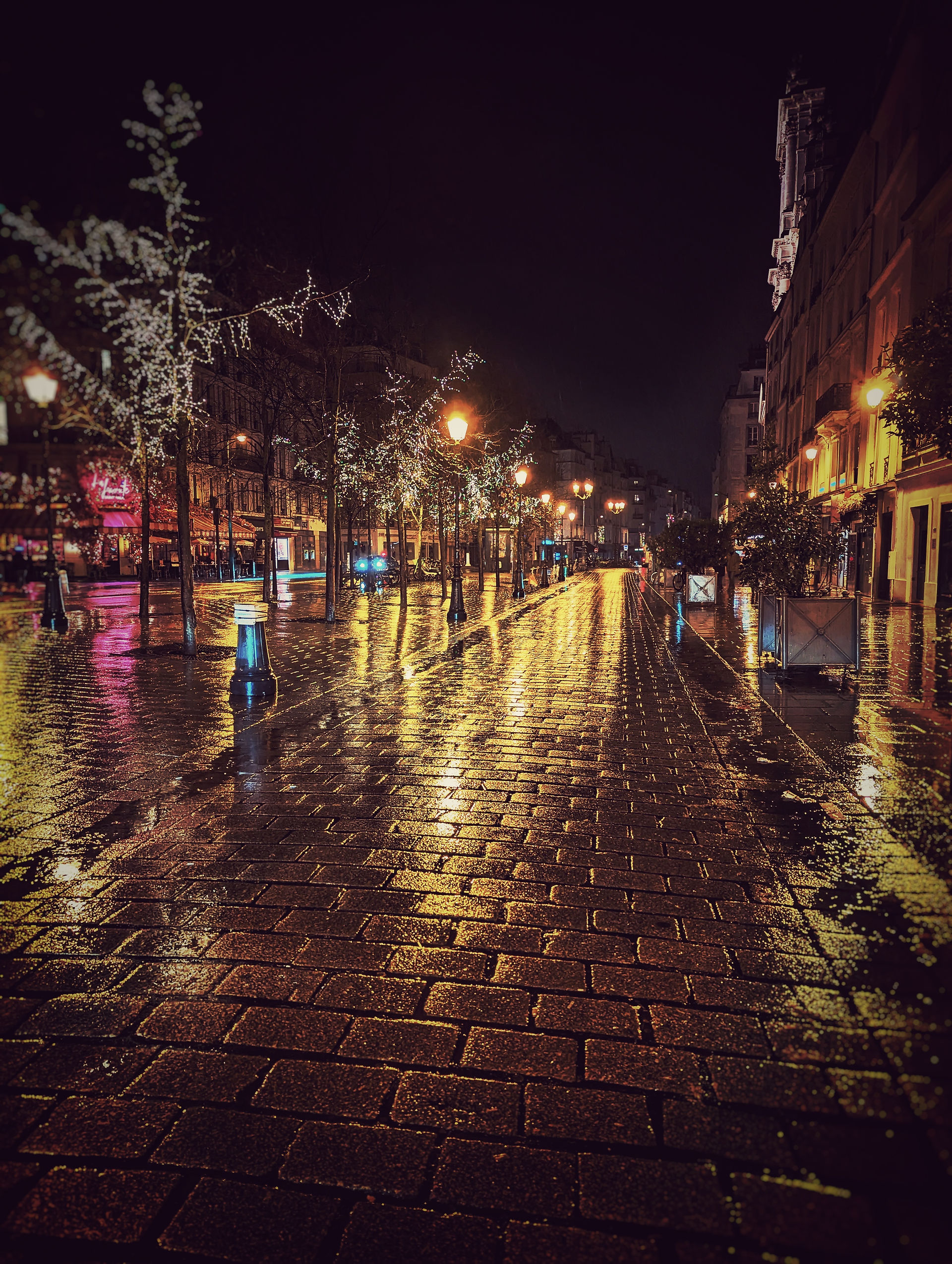 Paris in the rain