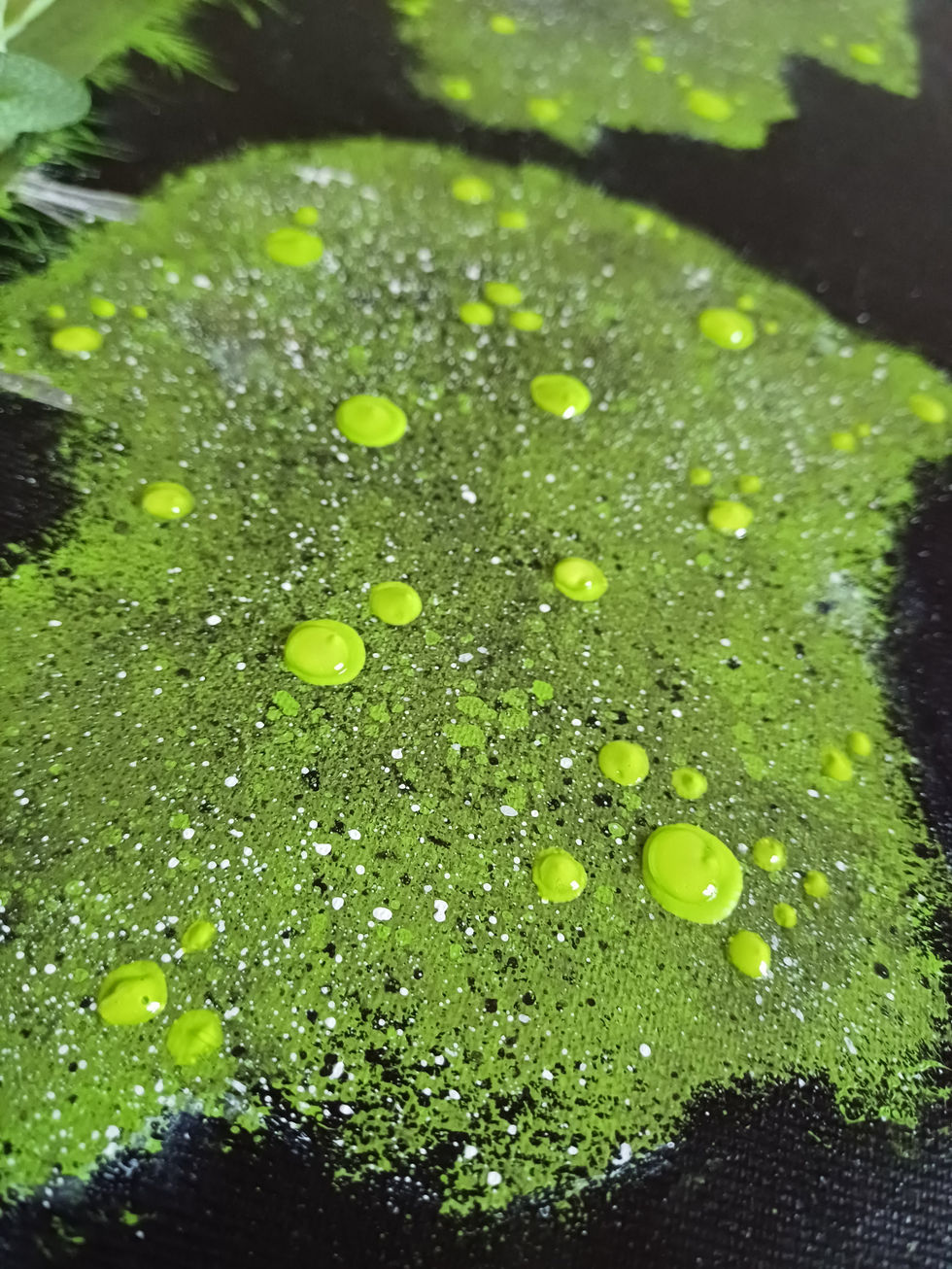 par ma fenêtre, profil 2