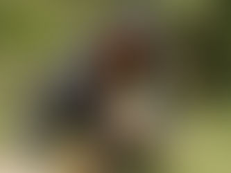 Confira o Dossiê Técnico-Científico do "A Maré Delas" e resumo dos relatórios.