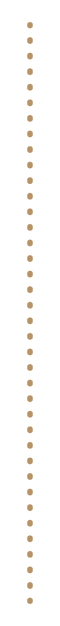 SantaMasa_Linea.png