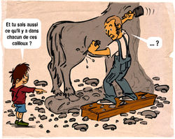 Le cheval dans la pierre