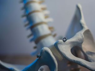 Spinal Flow: What Your Spine Is Trying to Tell You