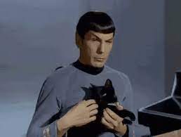 Spock and a cat