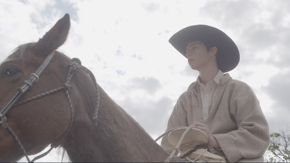Caballo_José_2