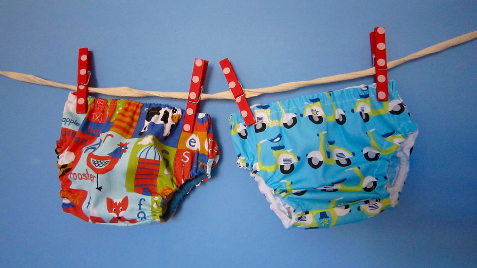 fattoria e vespe.jpg