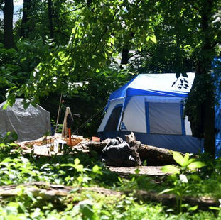 The Unseen Struggle: Fighting for Family Law Reform While Battling Homelessness