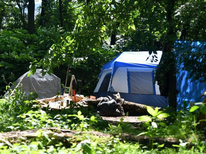 The Unseen Struggle: Fighting for Family Law Reform While Battling Homelessness