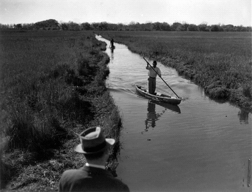 CSTW_pirogue.gif