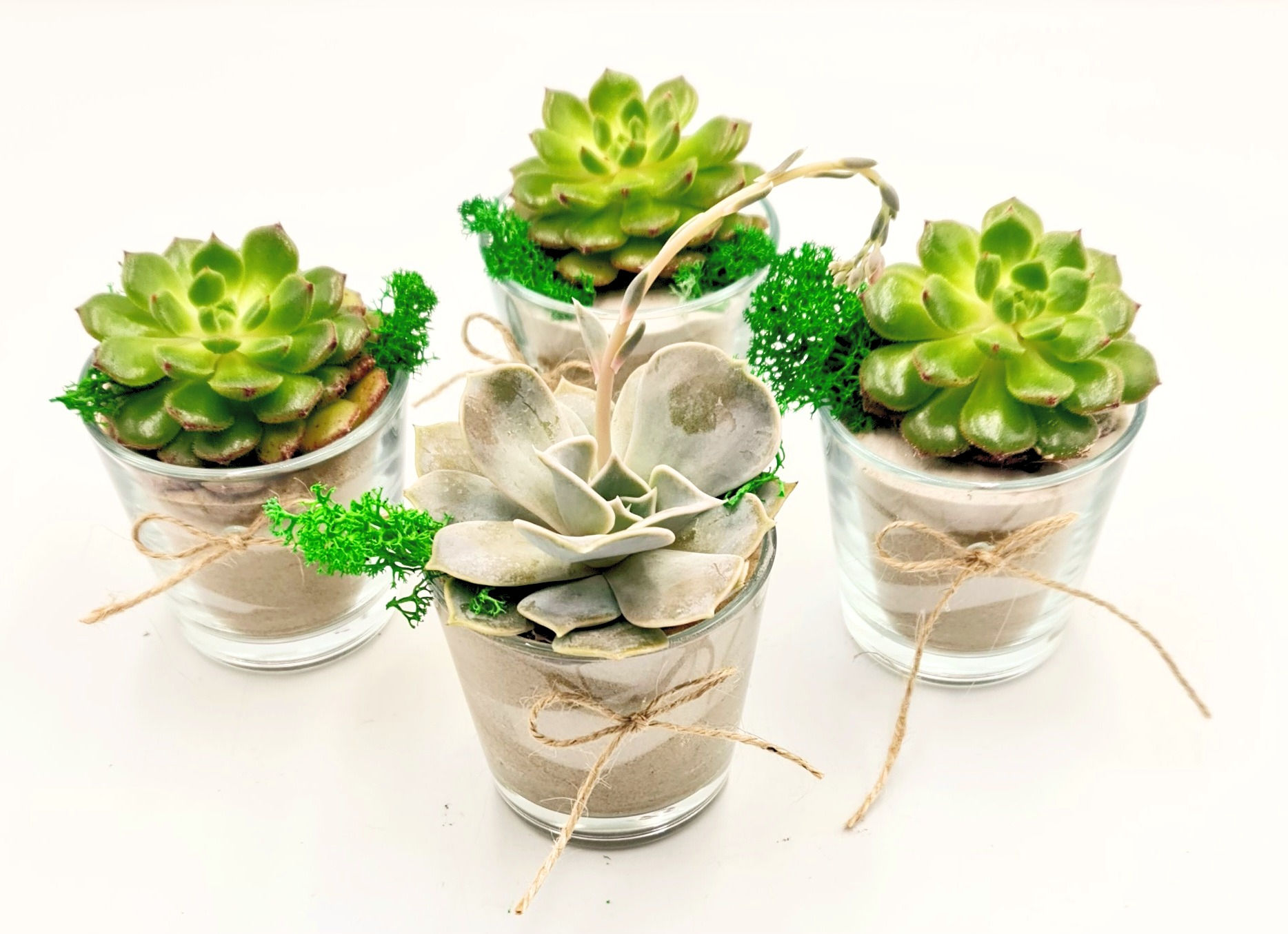 Marturii nunta si botez