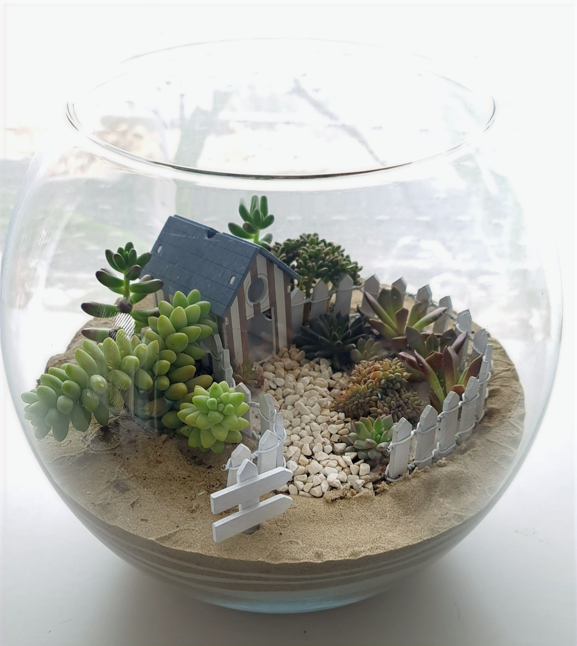 Terariu cu suculente -casuta din povesti decor cu plante vii și căsuță din lemn
