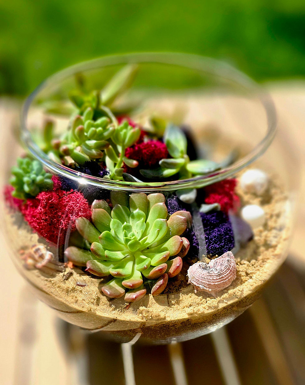 Miniatură: aranjament plante