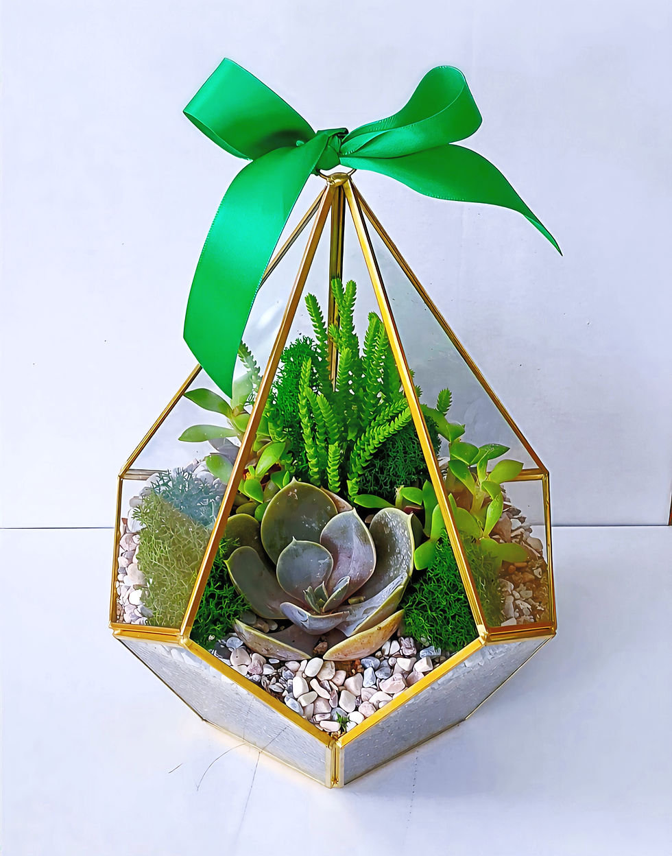 Miniatură: Terariu Geometric Cristal cu plante suculente naturale în vas geometric din sticlă și metal tip Penta