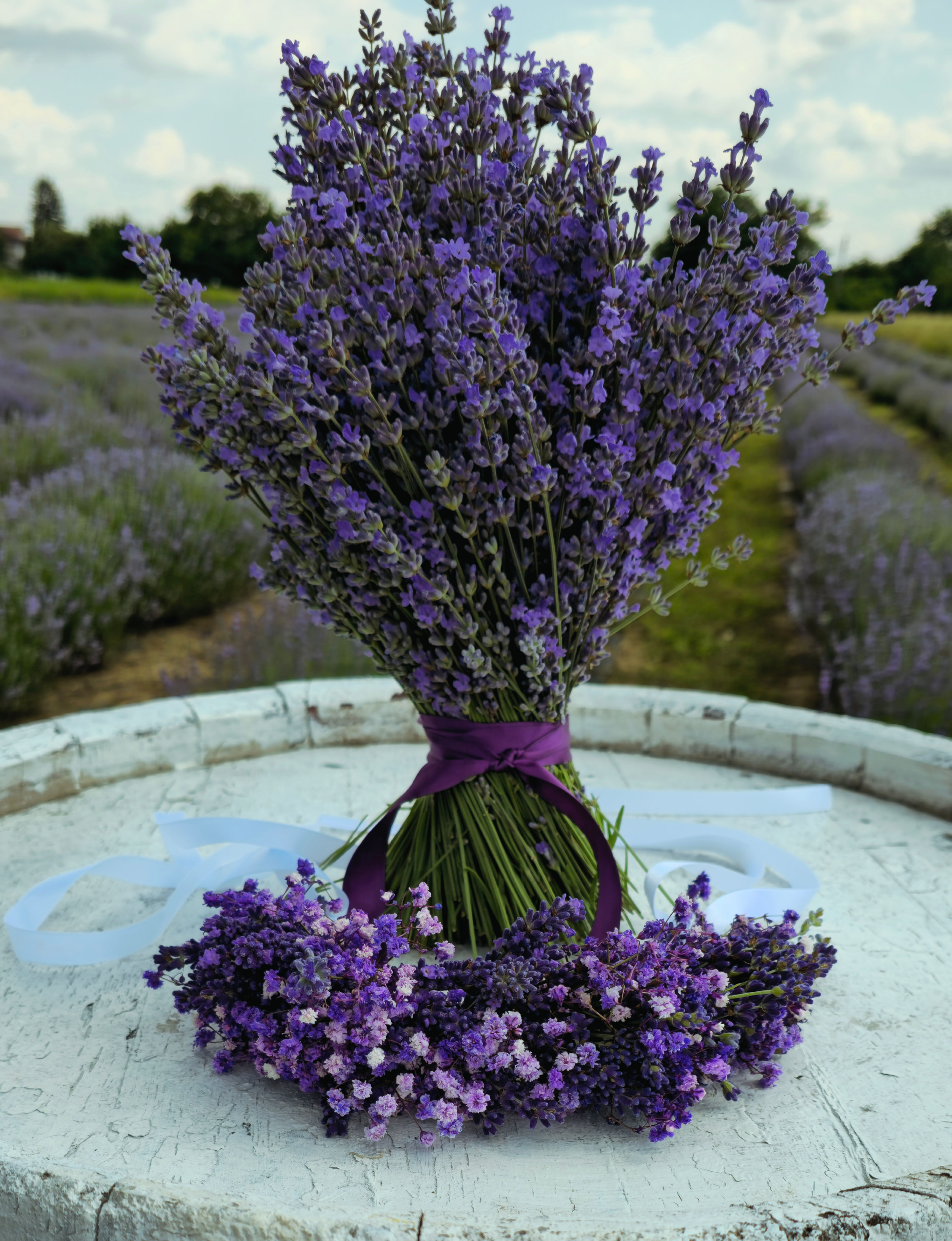 lavanda proaspata cadou natural