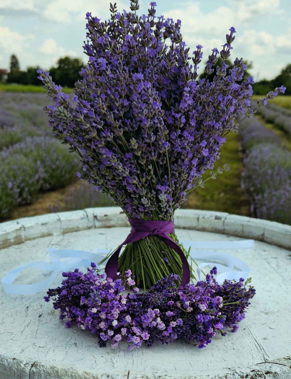 lavanda proaspata cadou natural