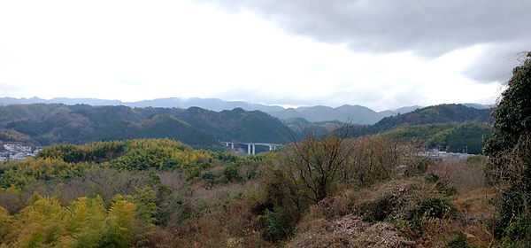 22.1.24神於山-2.jpg