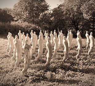 SO CULT HOME 2_edited.jpg