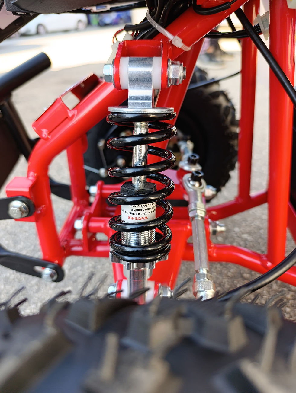 Miniatura: RAPTOR ELETTRIK 36V  TRE VELOCITA' BLU O VERDE