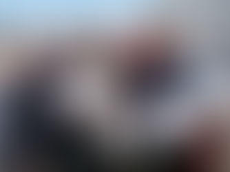 Les lauréats du 7e concours du RUBAN VERT