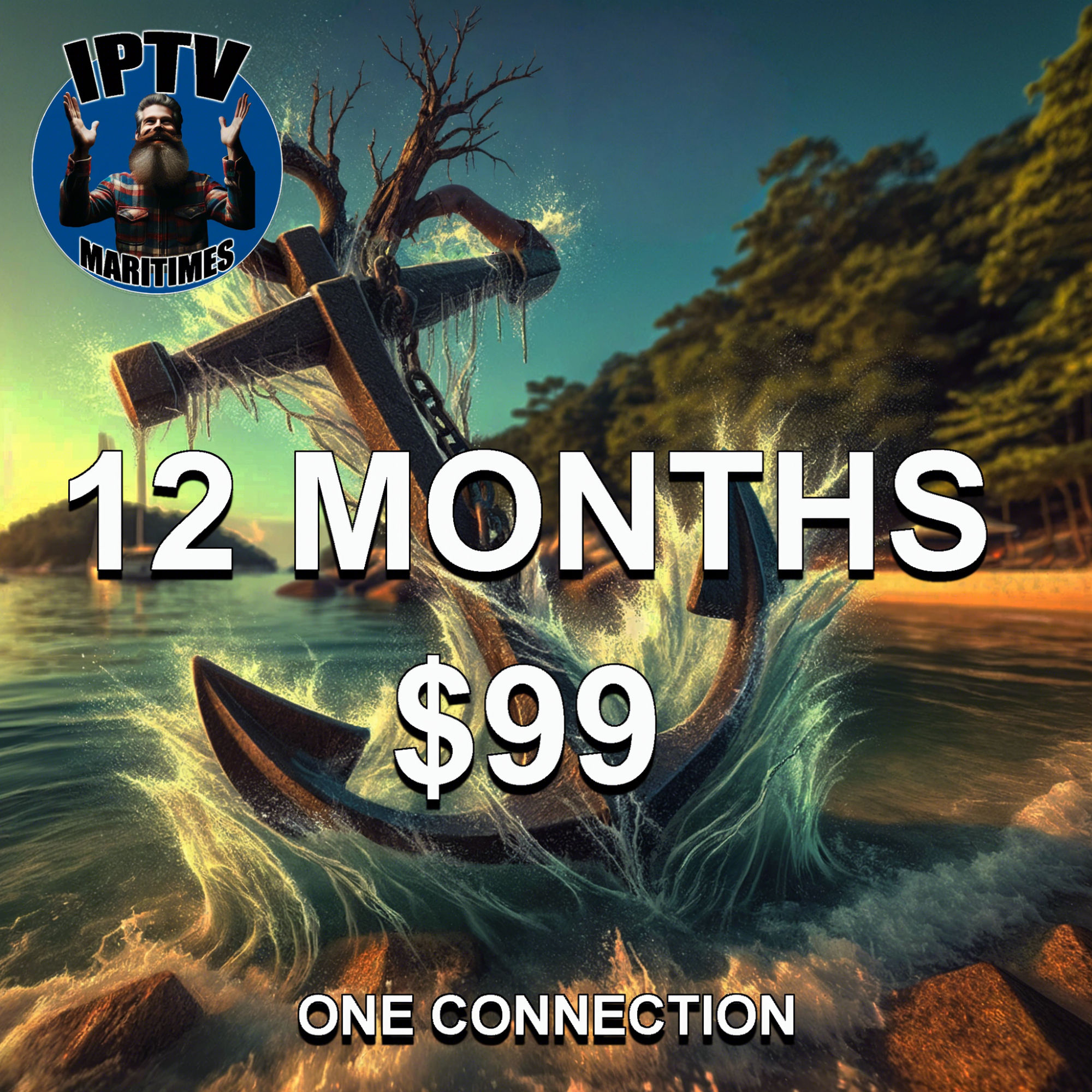 12 Months - 1 Connection