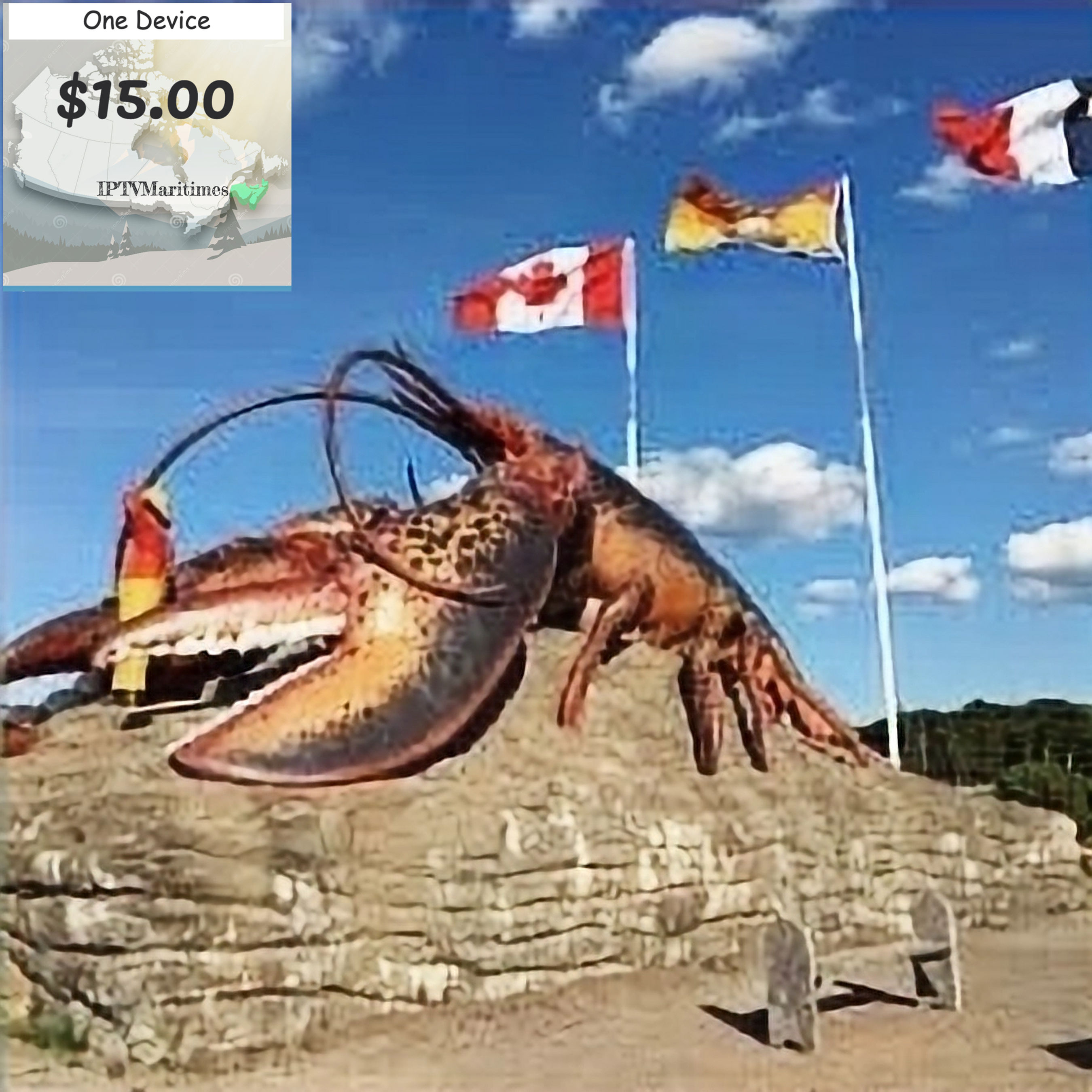 1 Month - 1 Connection